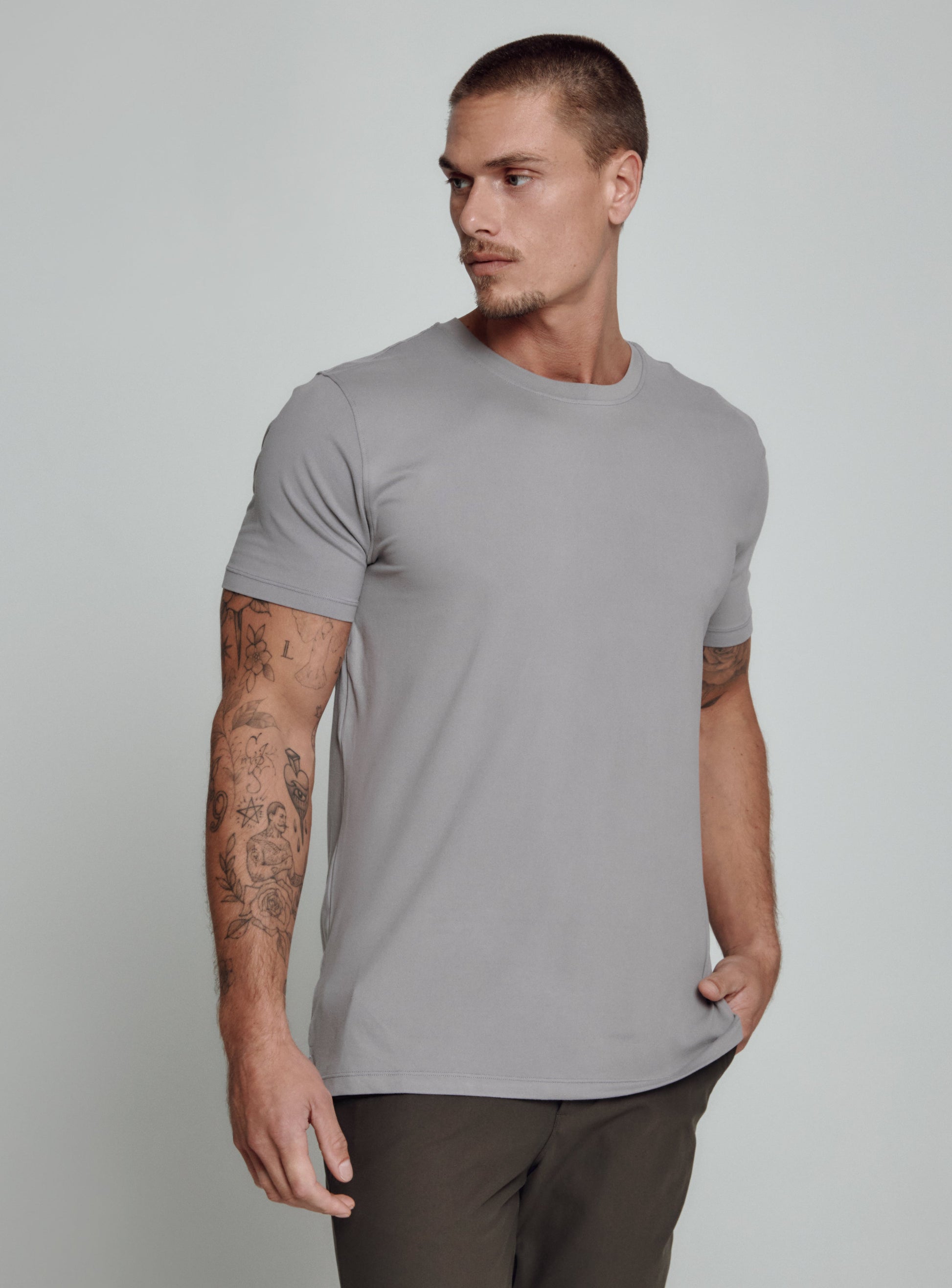 gull-grey-4207