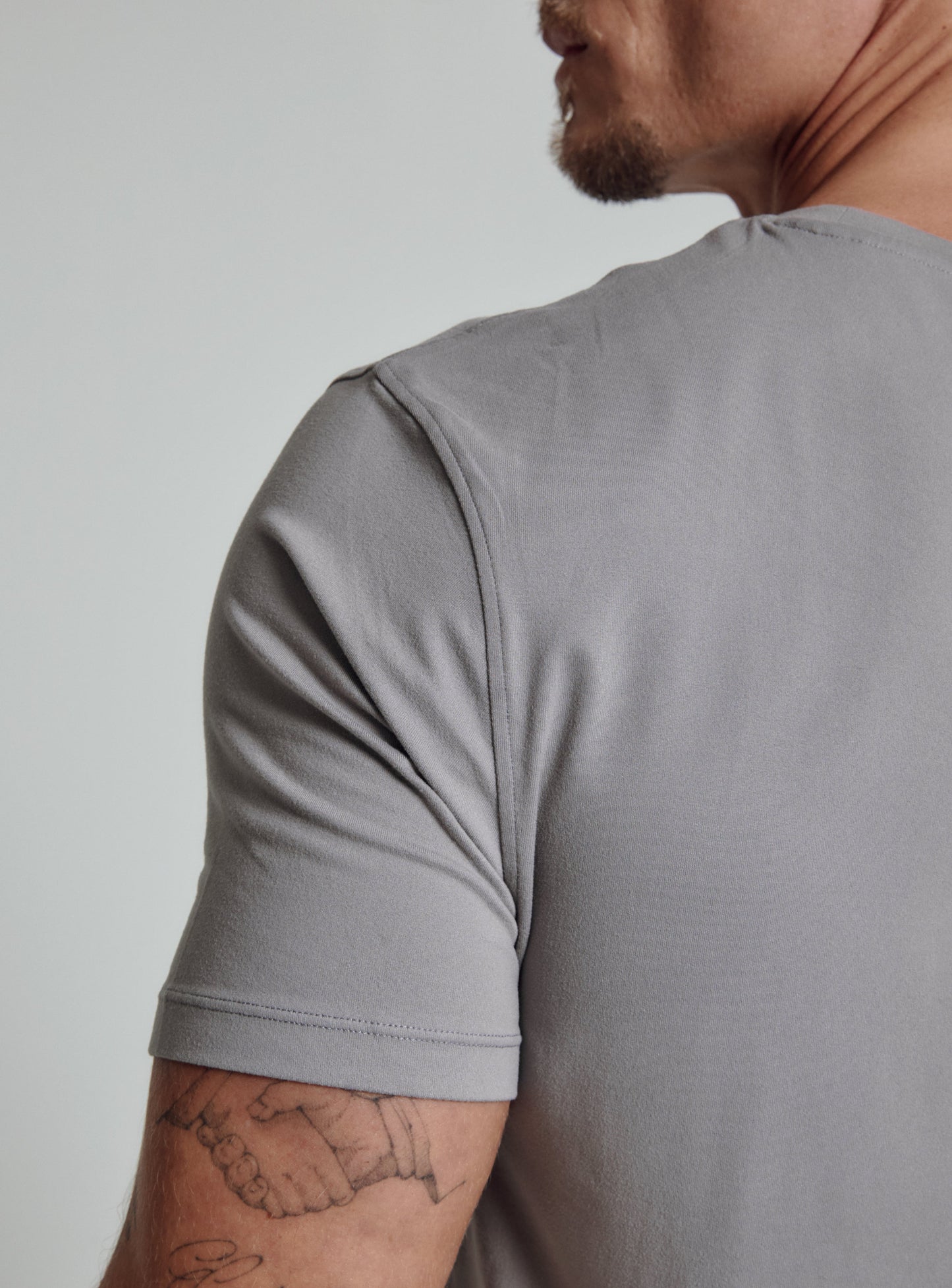 gull-grey-4207