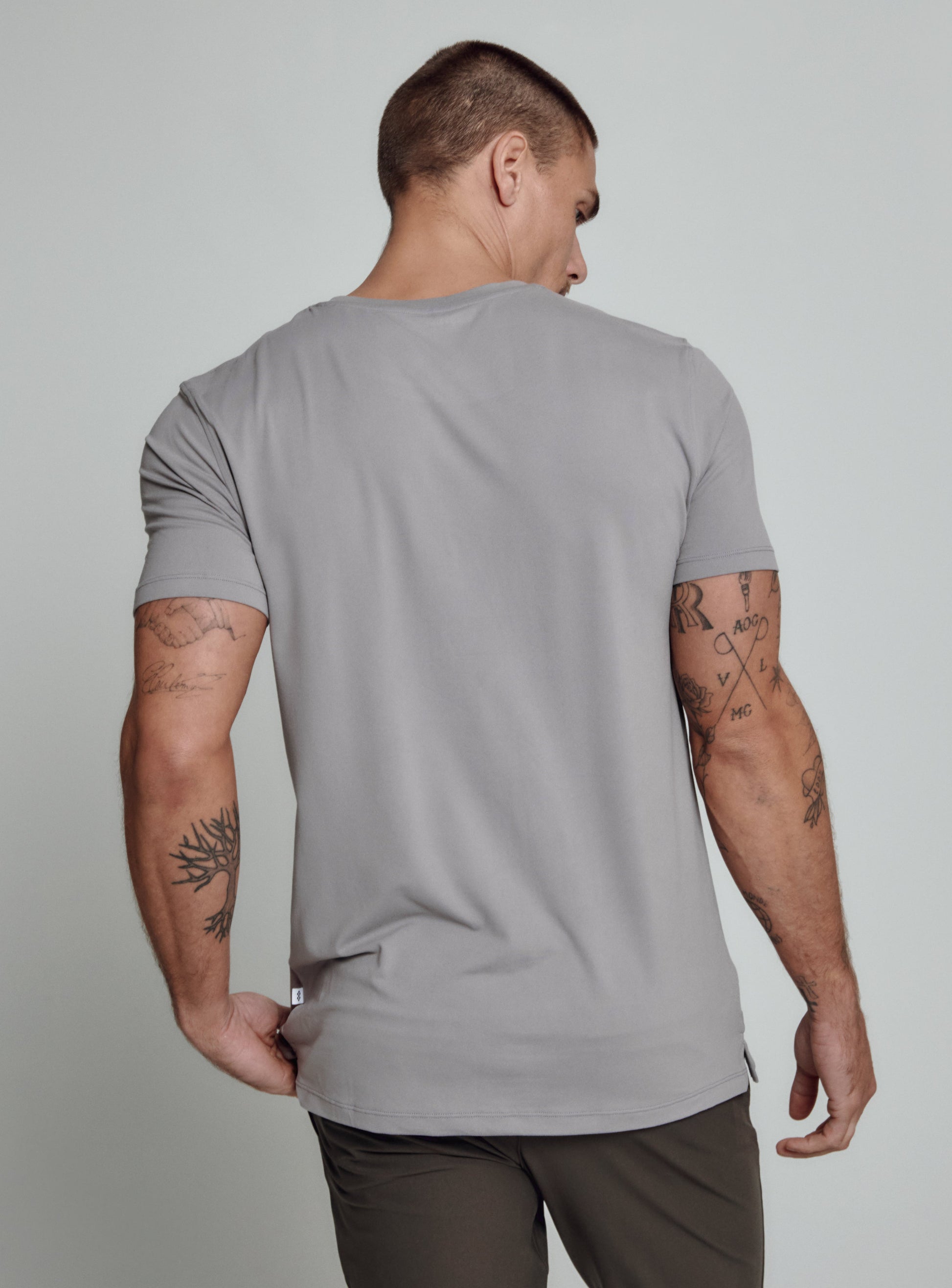 gull-grey-4207