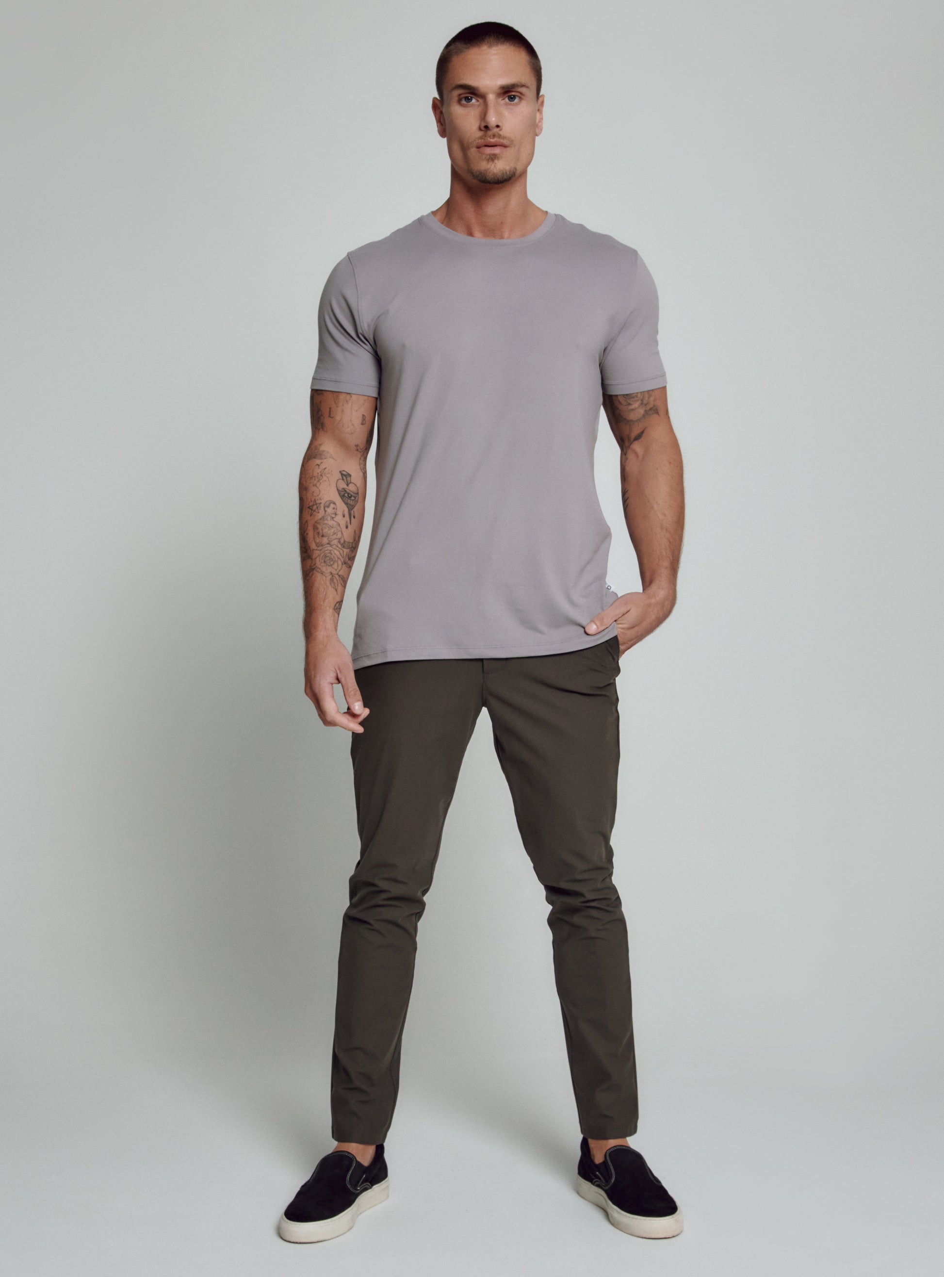 gull-grey-4207
