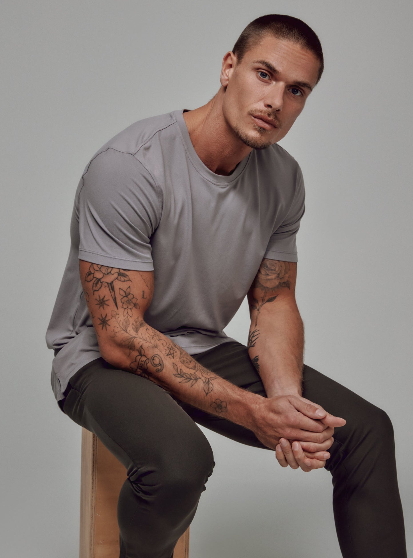 gull-grey-4207