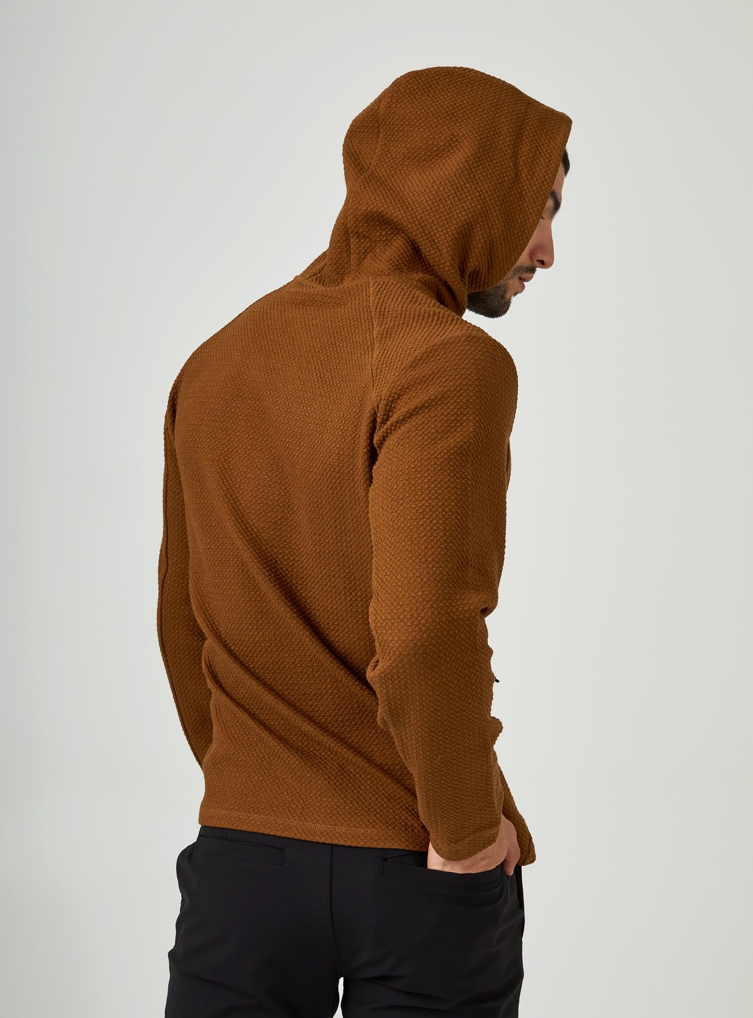 camel-8348