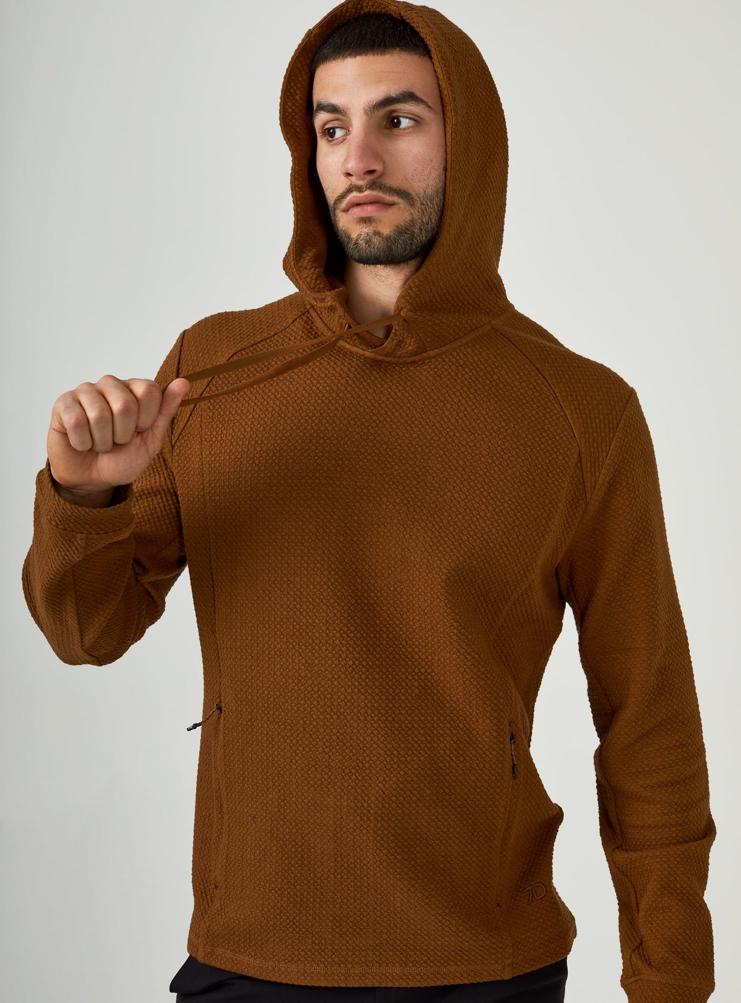 camel-8348