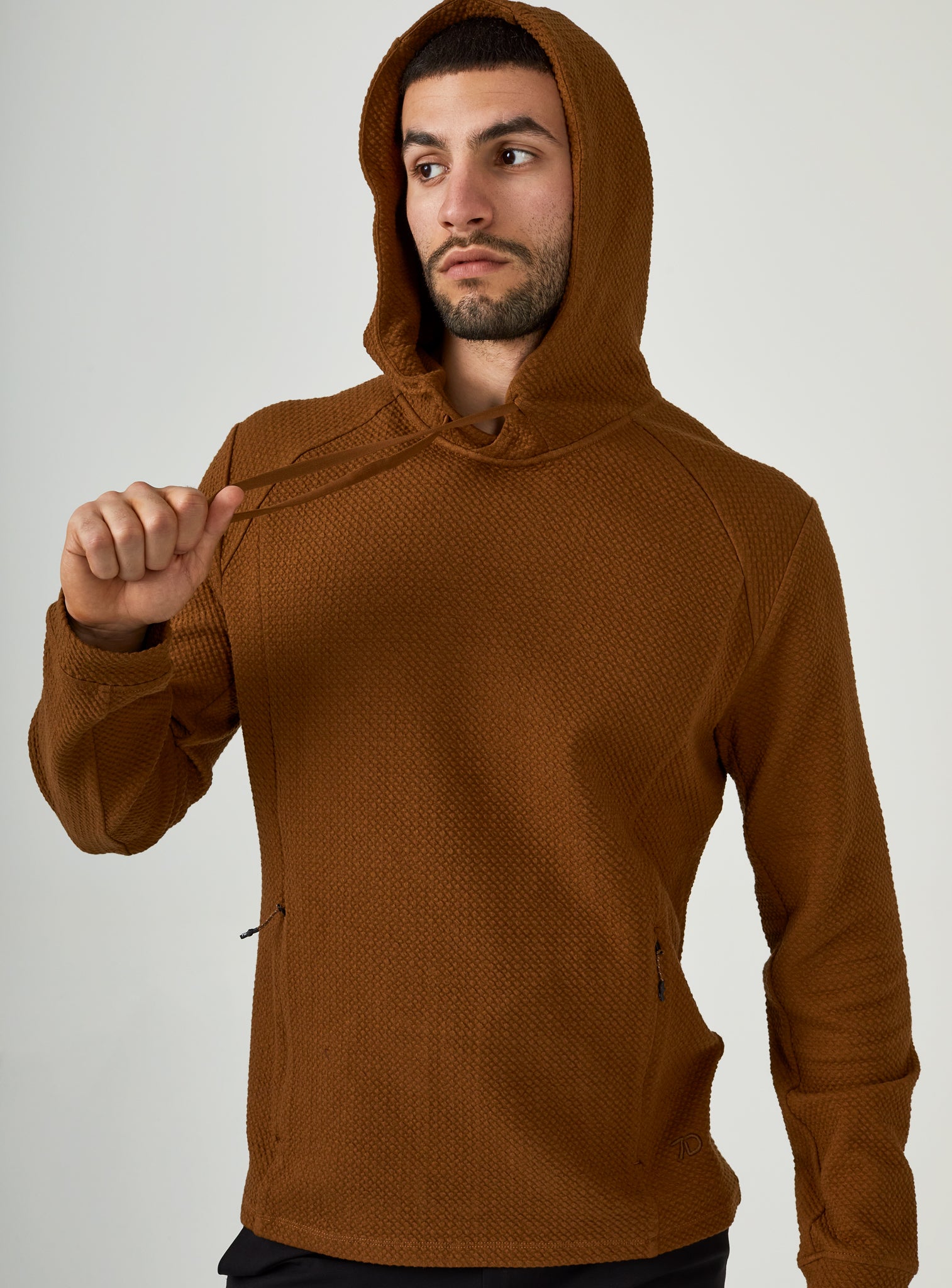 camel-8348