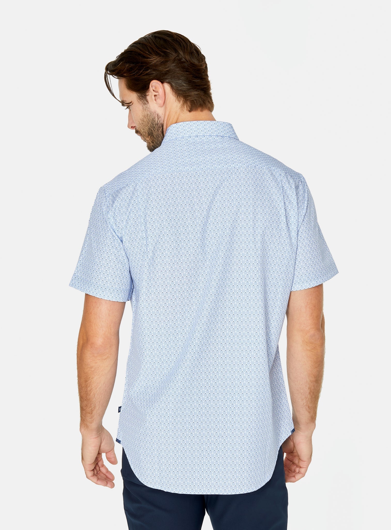 white-6987