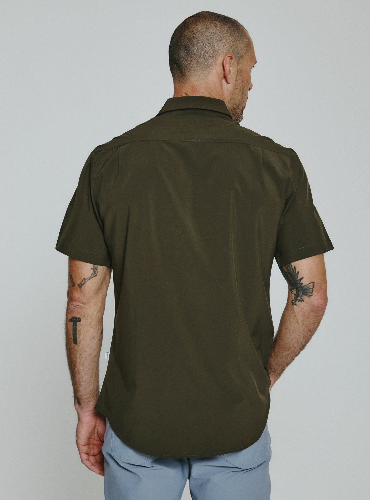 olive-7617