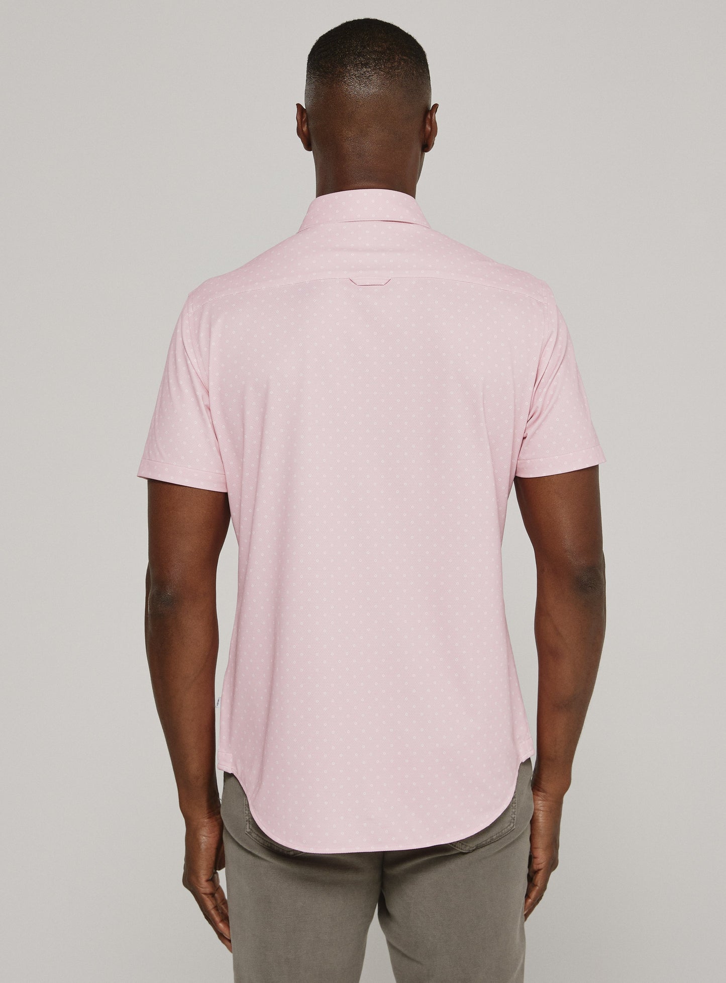 rose-7843