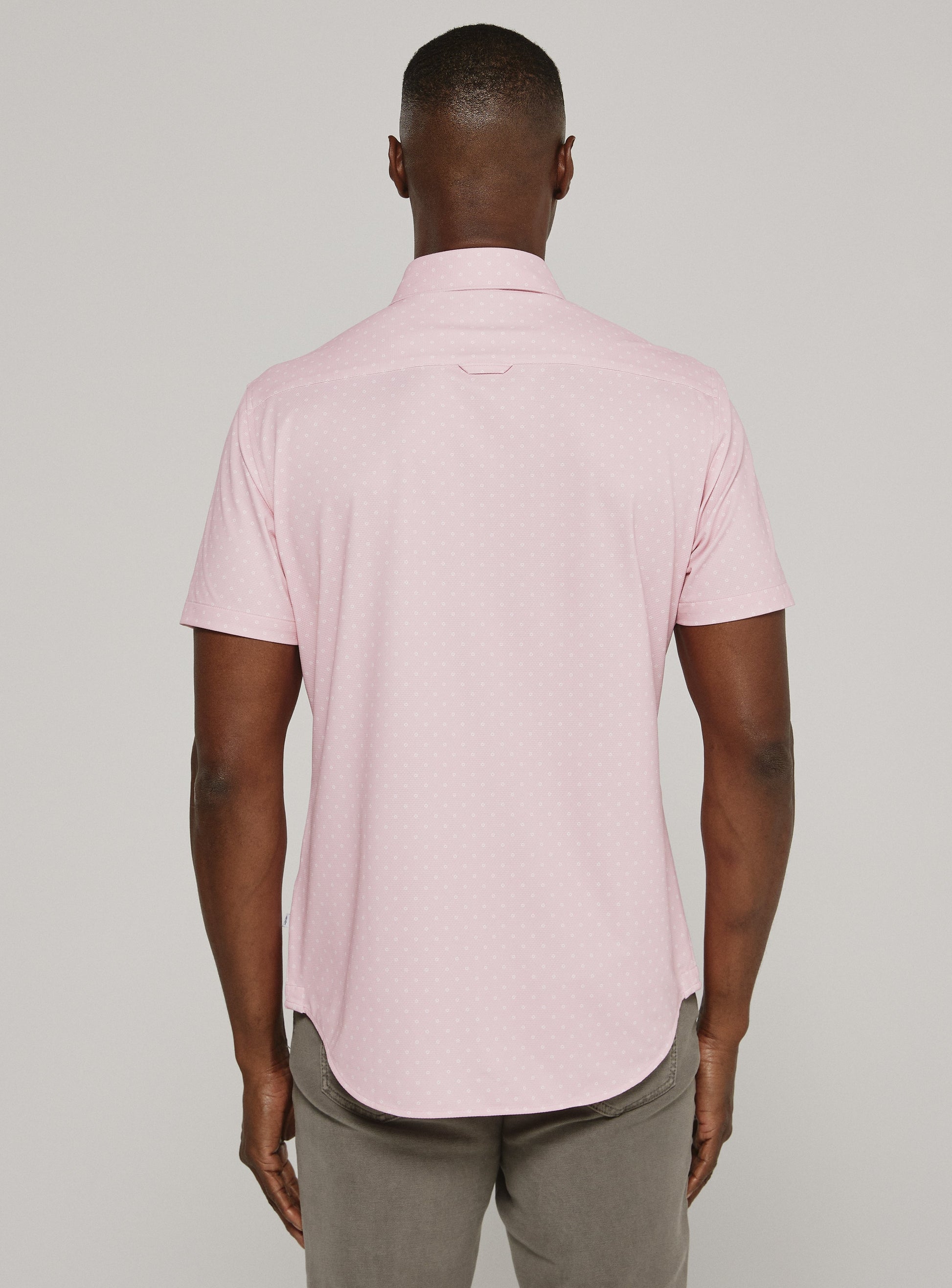 rose-7843