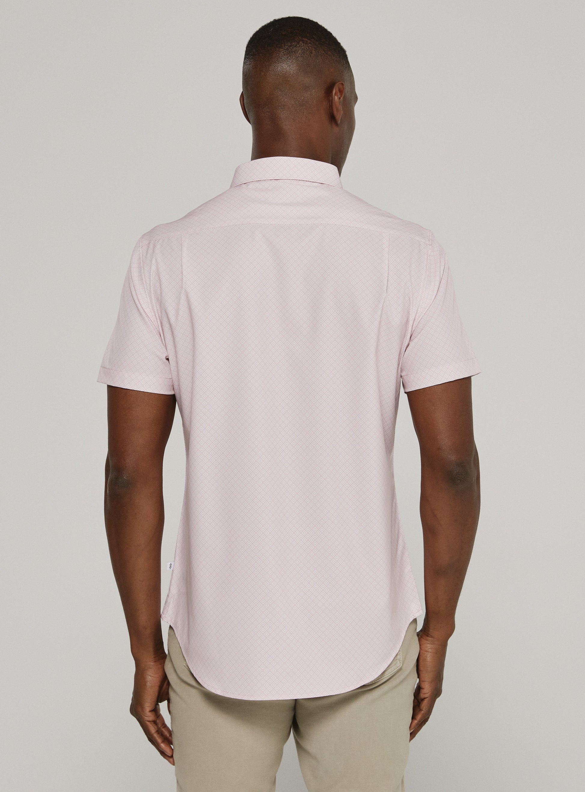 rose-7889