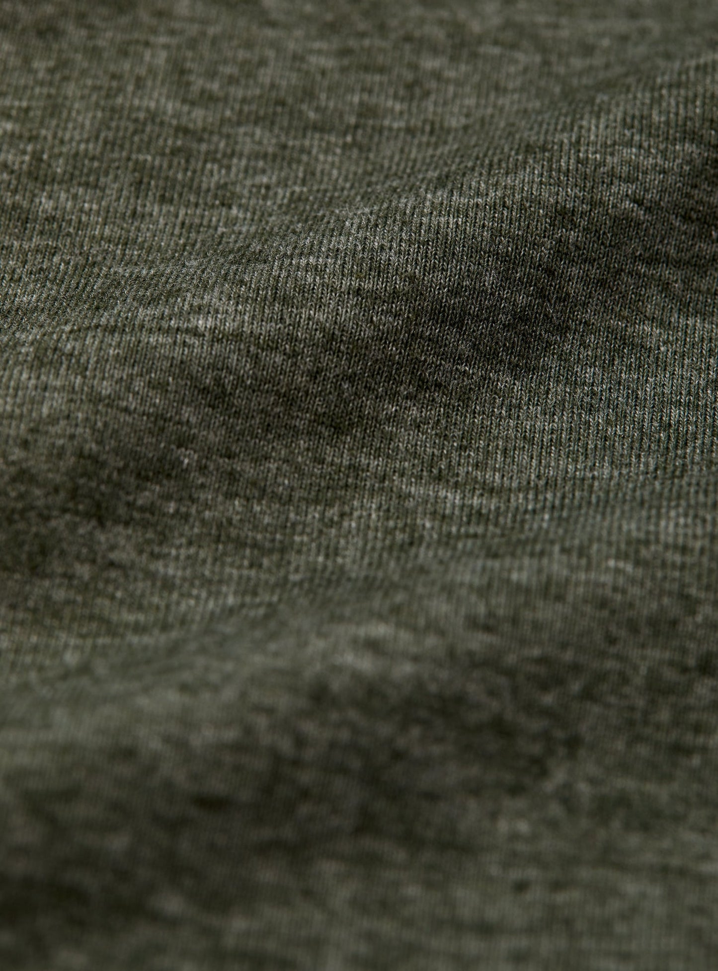 olive-4183
