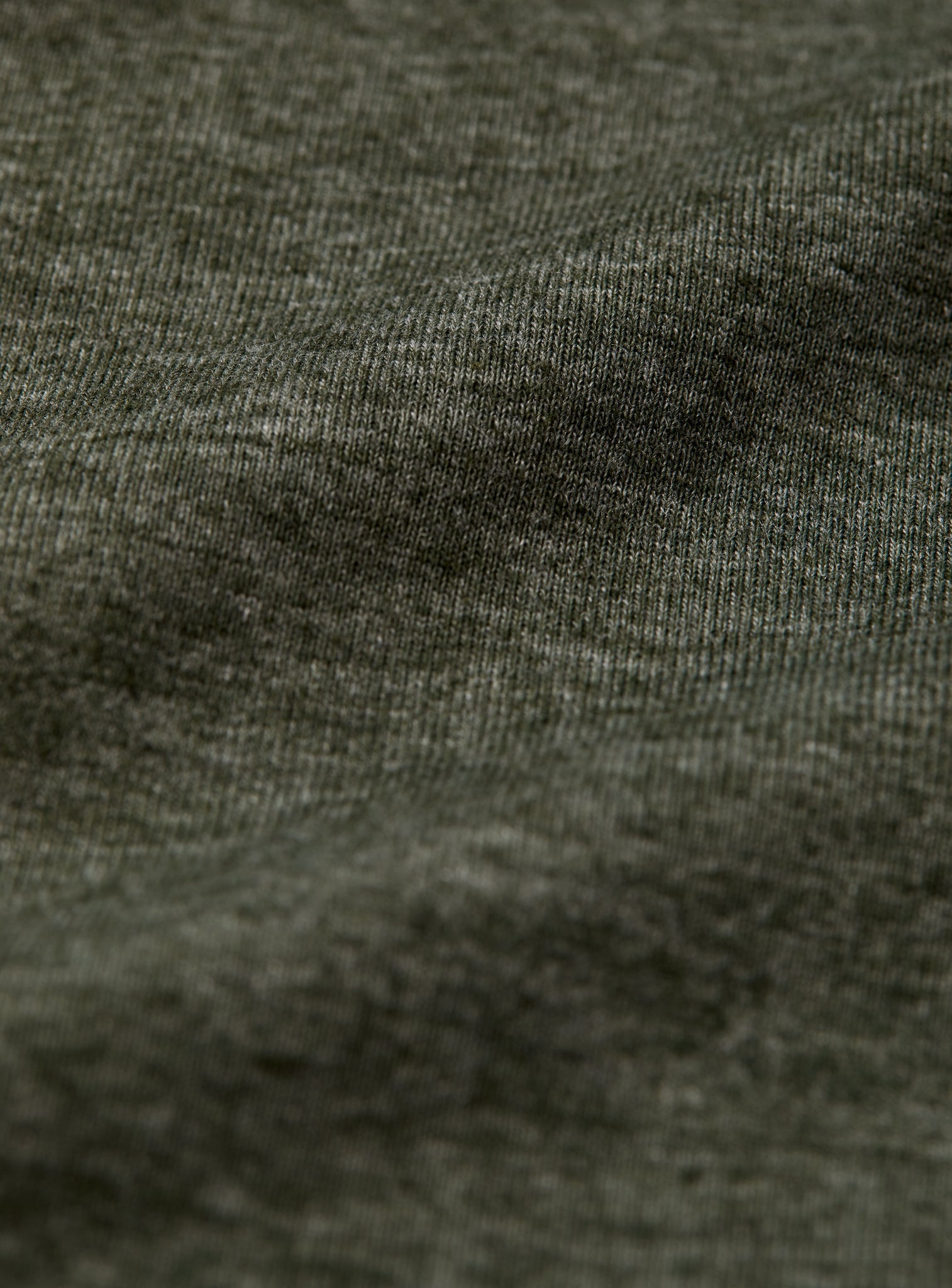 olive-4183