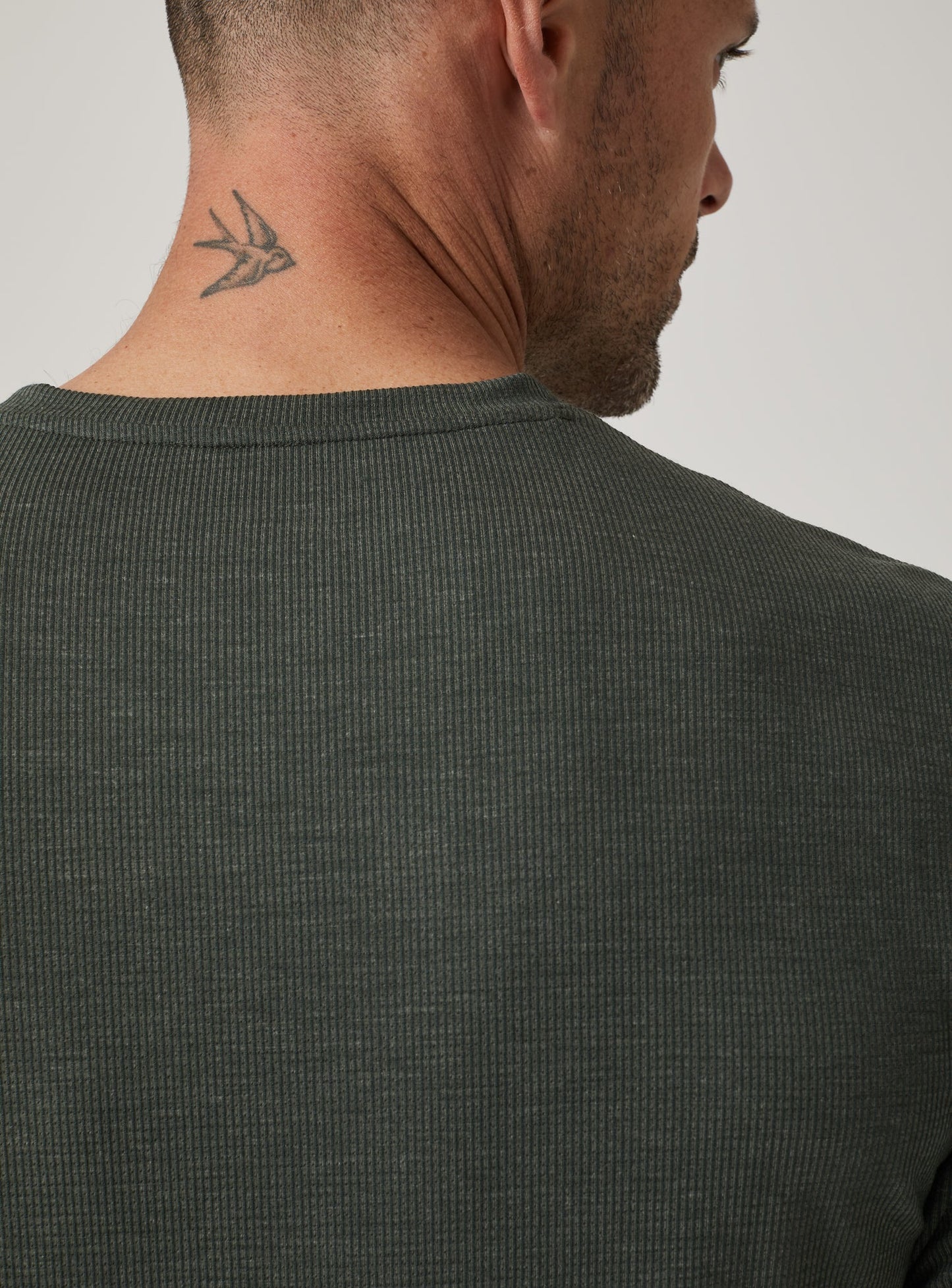 olive-4213
