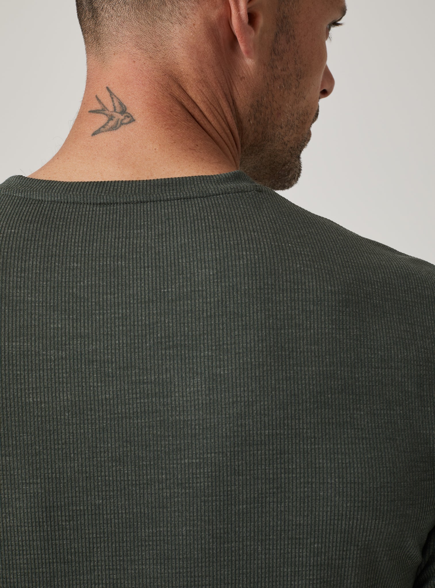 olive-4213