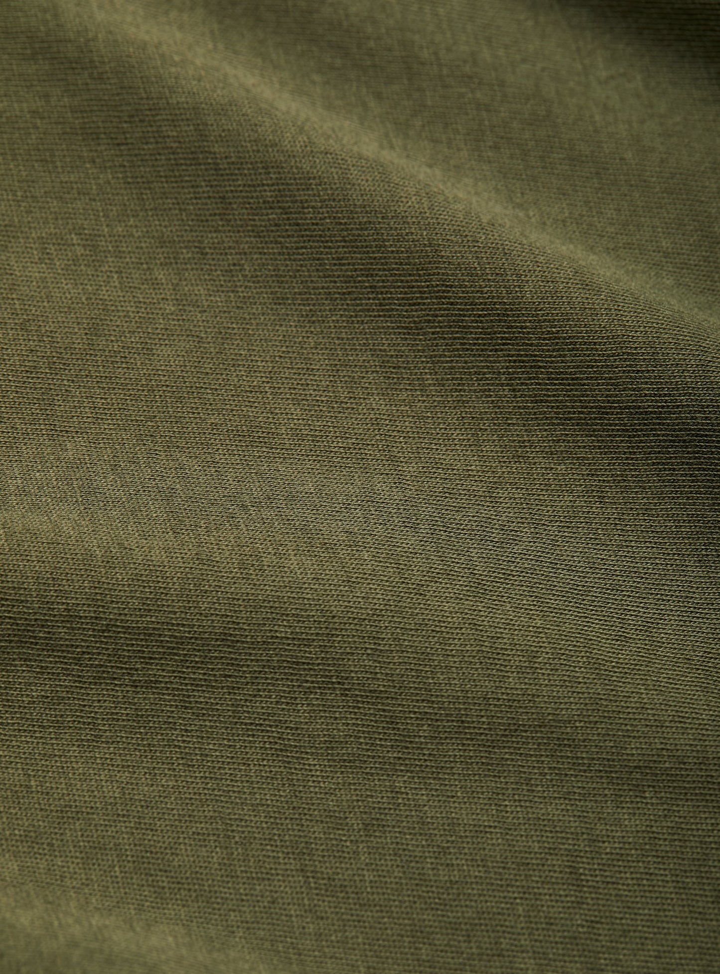 boxwood-1014