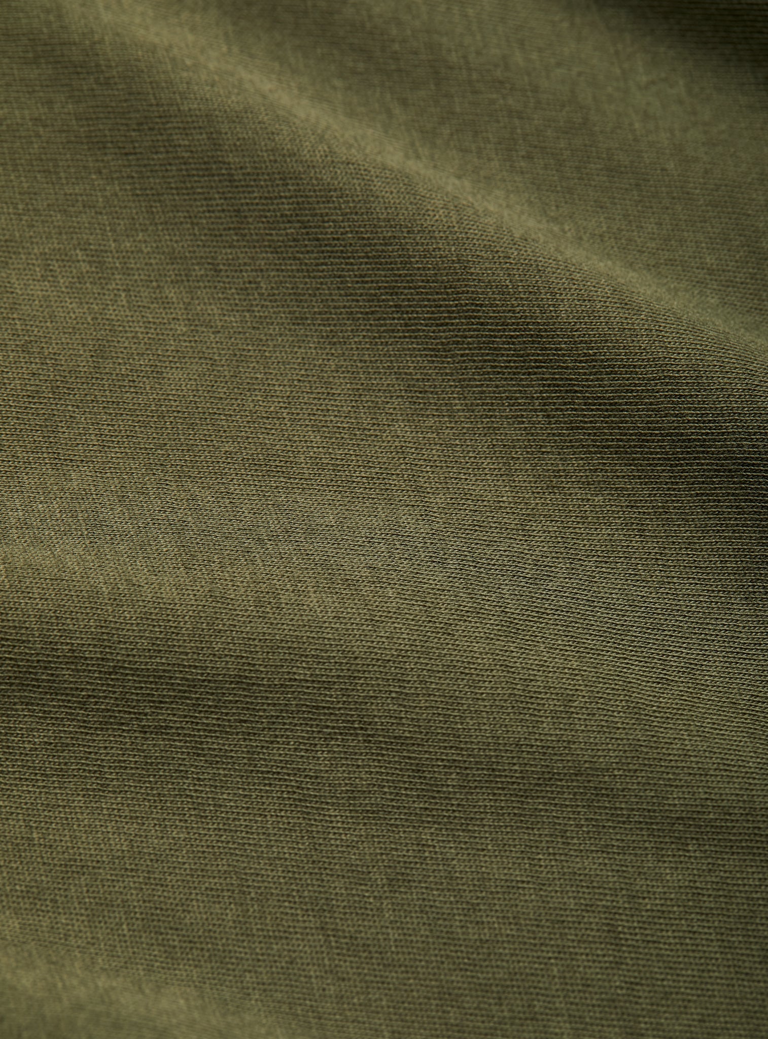 boxwood-1014