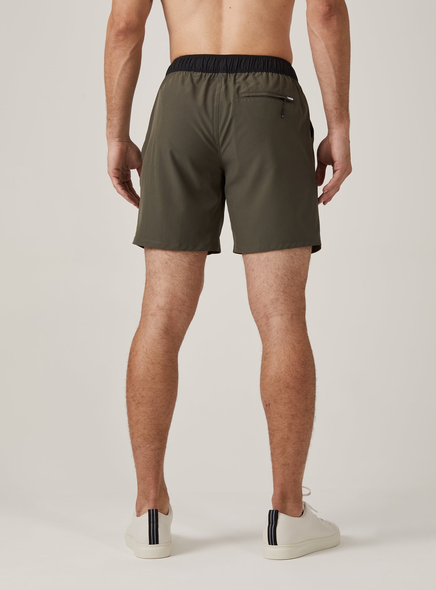 olive-1255