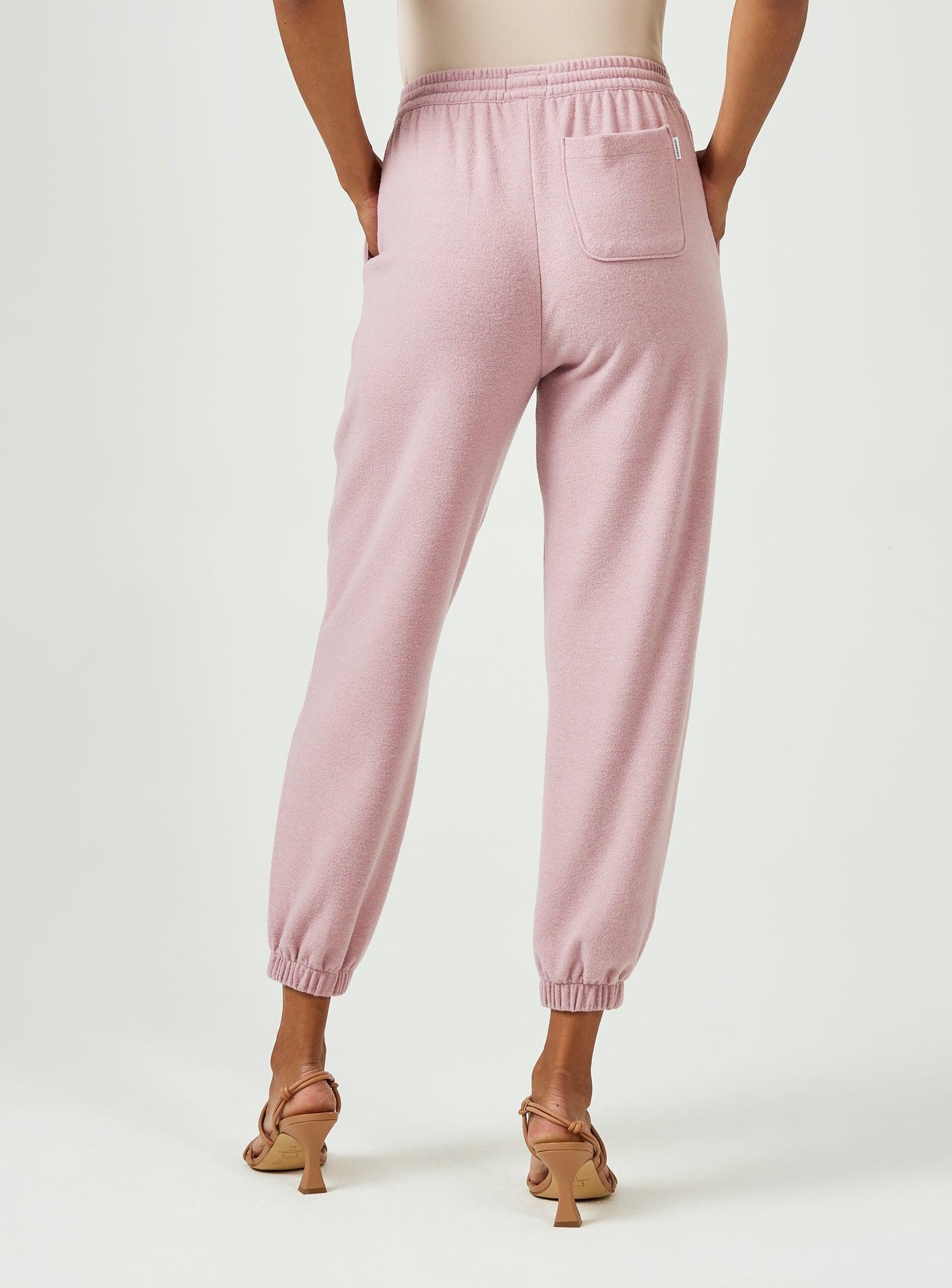primrose-3002