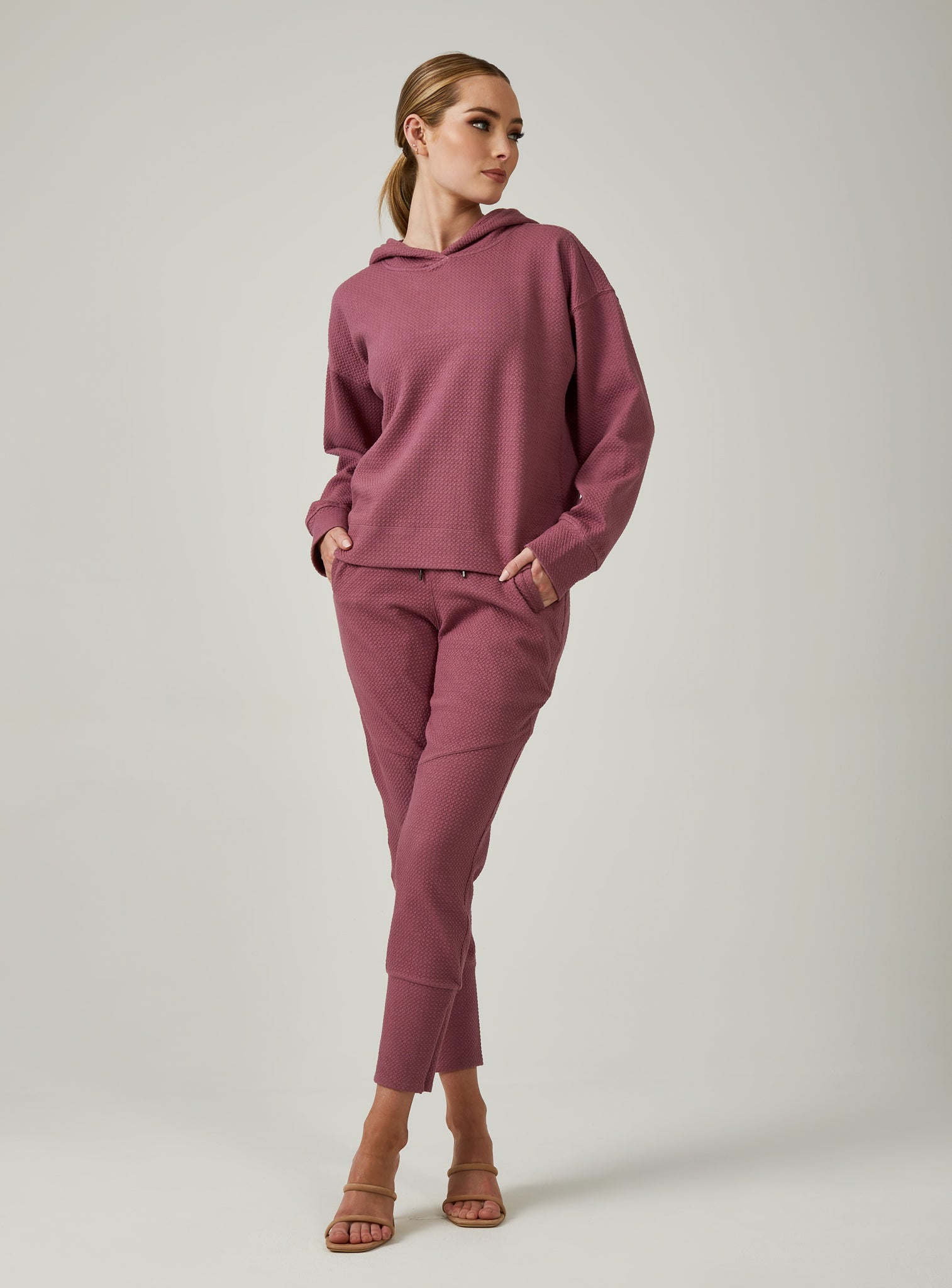 orchid-4001